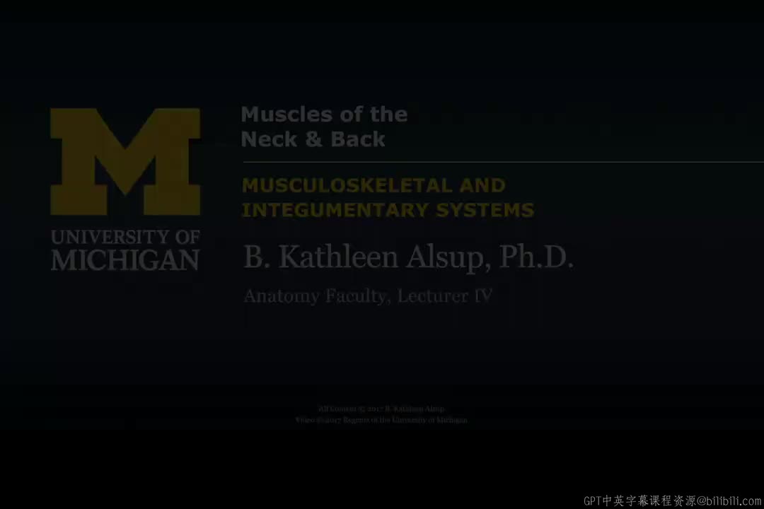 56_颈背部肌肉.zh_en