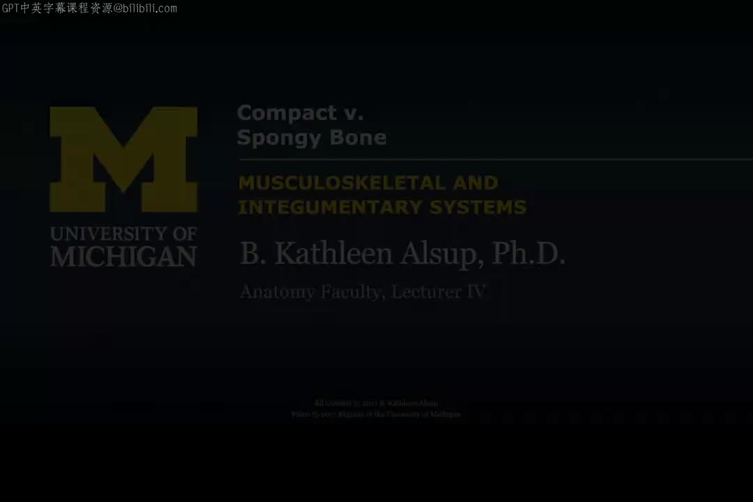 4_密质骨与松质骨.zh_en