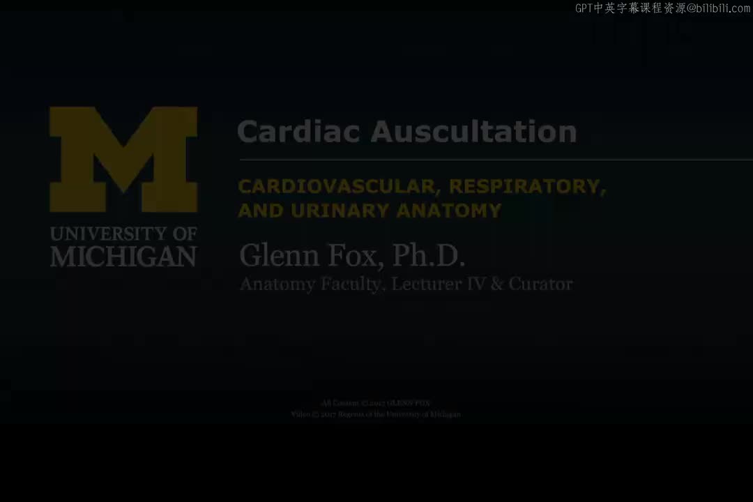 19_心脏听诊演示.zh_en
