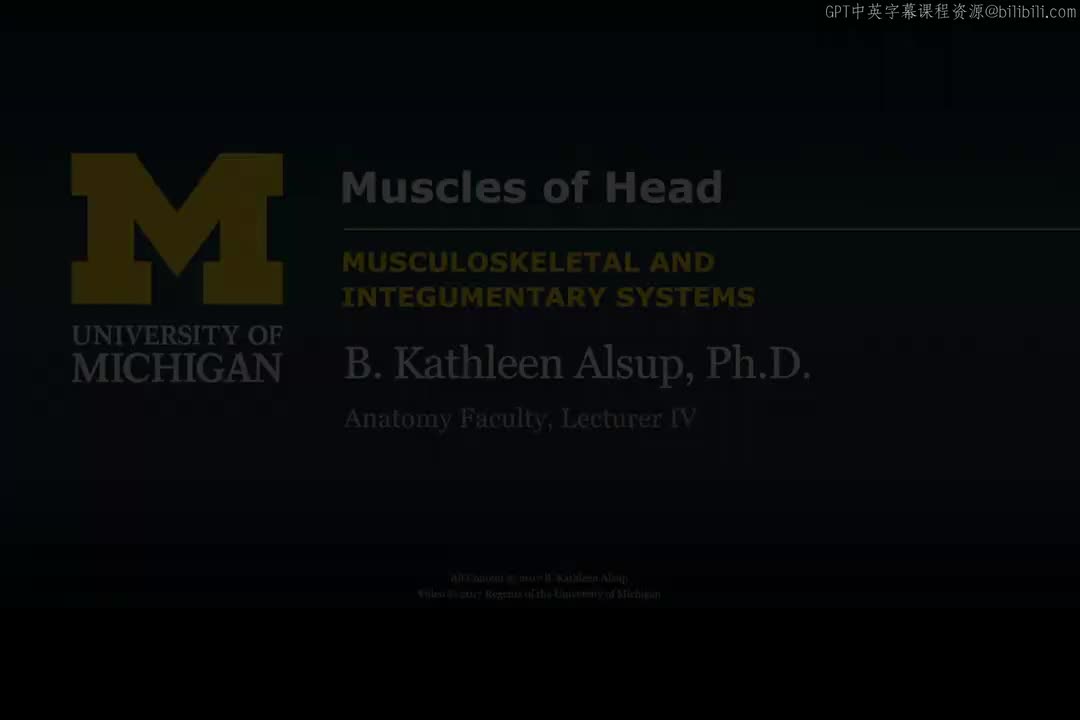 55_头部肌肉.zh_en