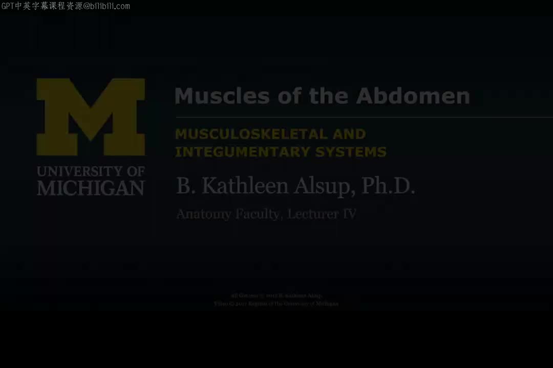 58_腹部肌肉.zh_en