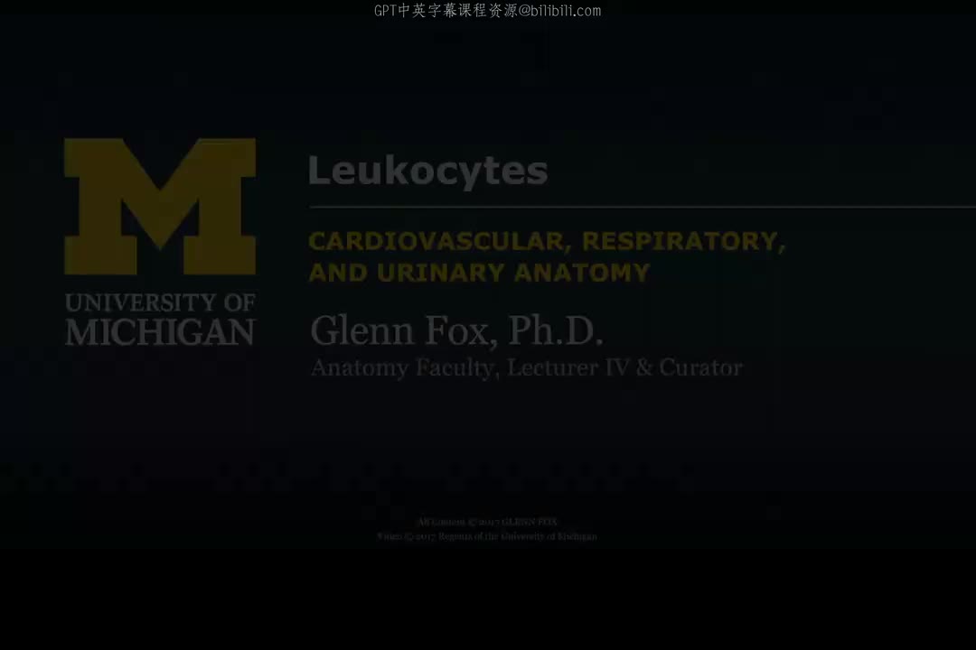 3_白细胞的结构、功能与病理.zh_en