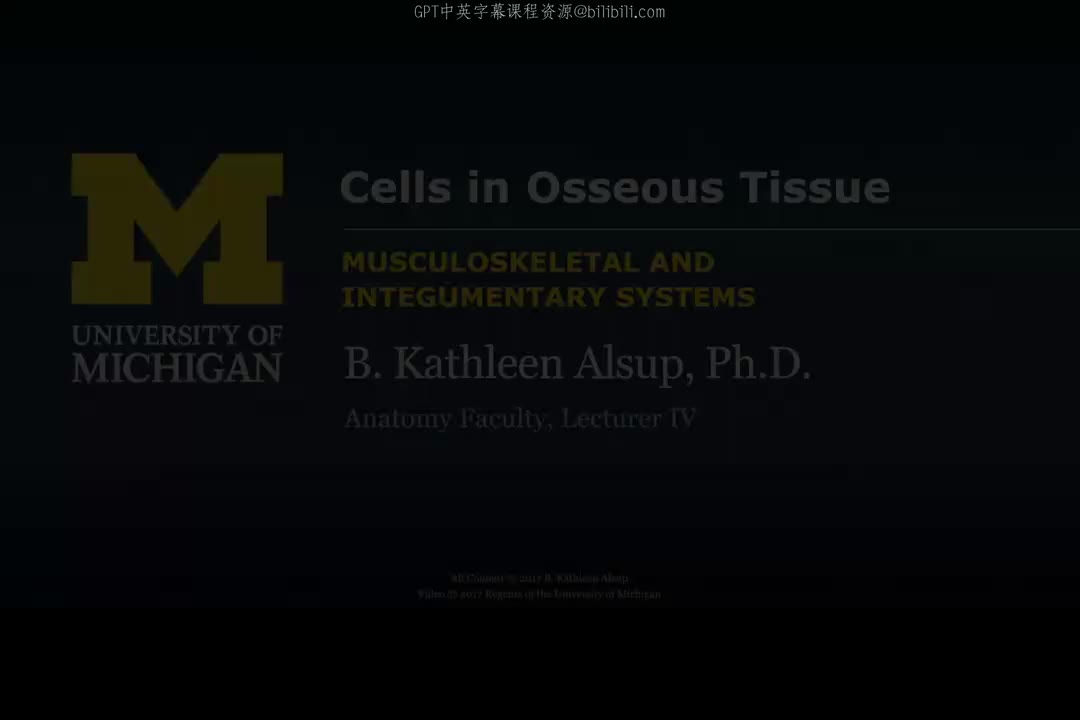 3_骨组织中的细胞.zh_en