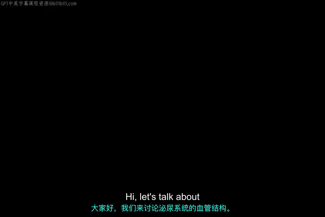 33_肾血管系统.zh_en