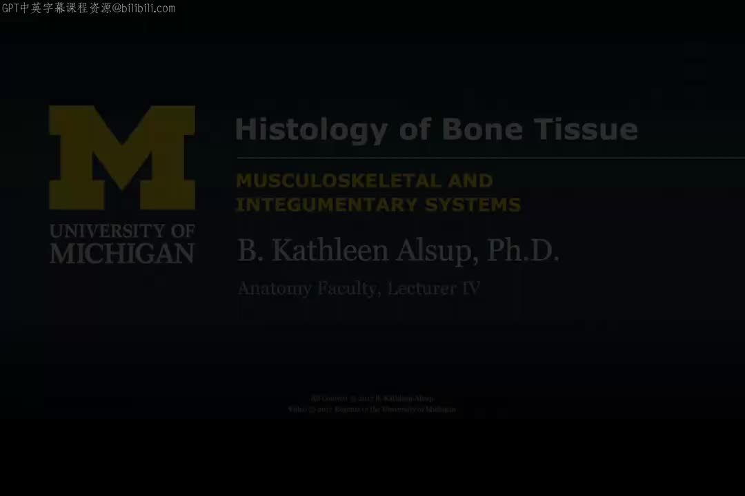 2_骨组织的组织学.zh_en