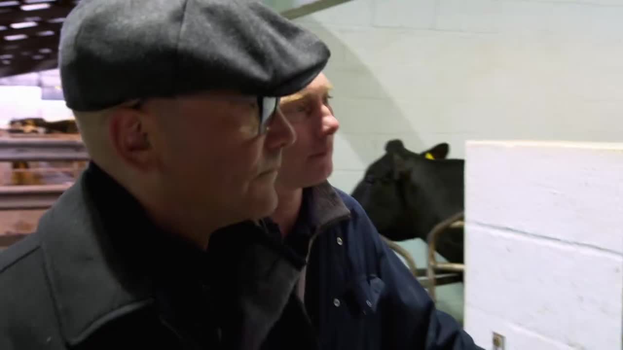 走进工厂 牛奶 2