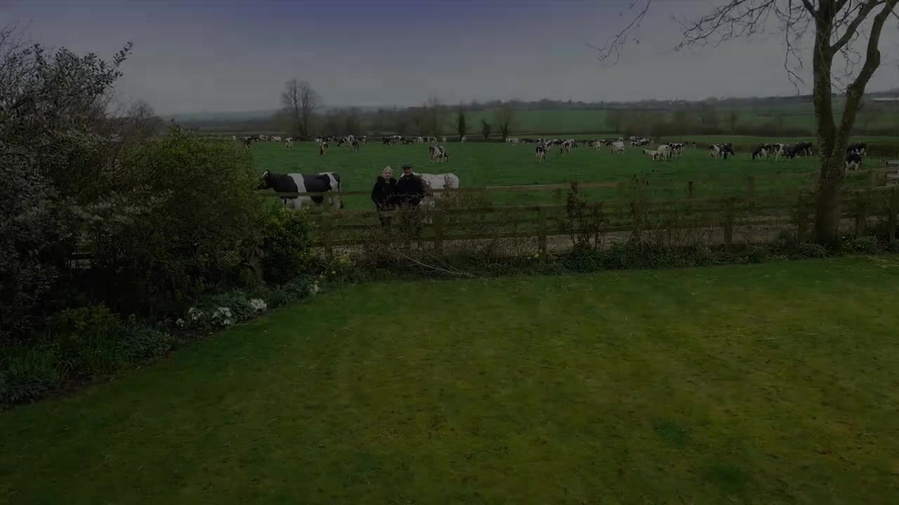 走进工厂 牛奶 1