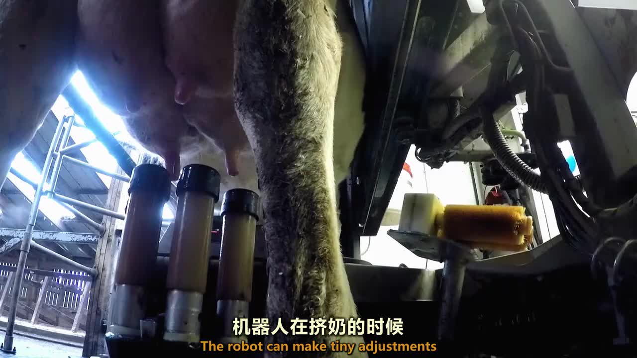 走进工厂 牛奶 9