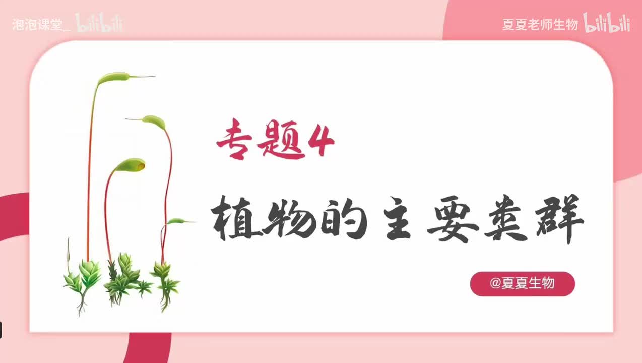 中考生物一轮复习——专题04《植物的主要类群》