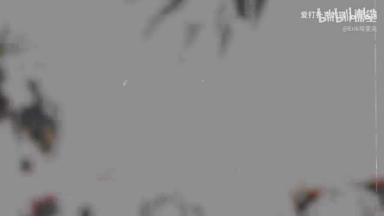 05-「女生」如何使用这套计划