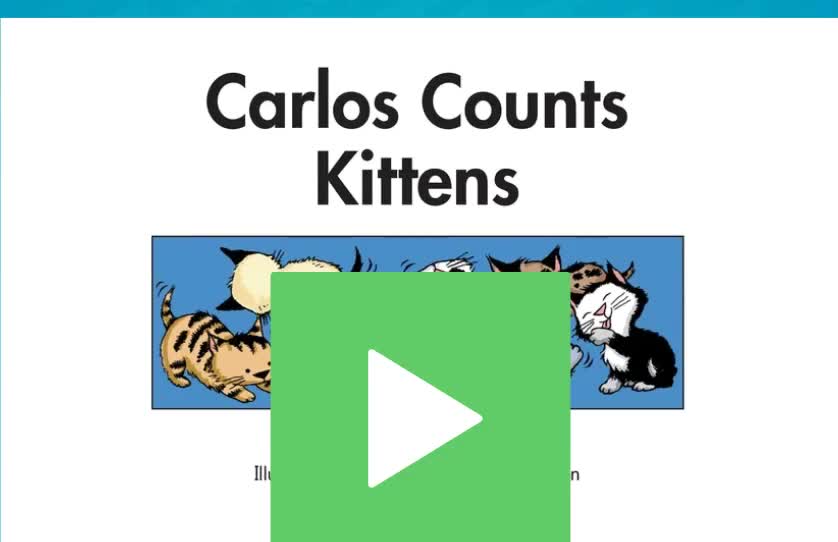 A-24 Carlos Counts Kittens
