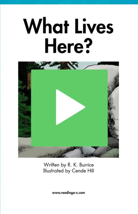 A-06 What Lives Here