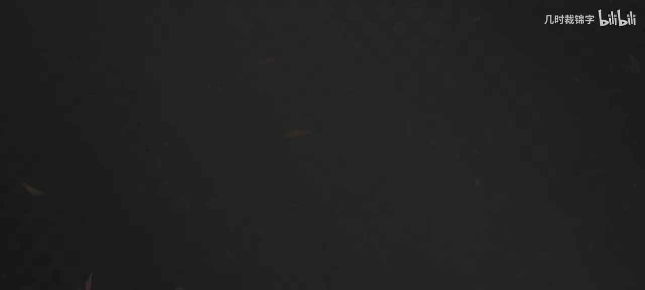 20250725暑期版本PV 【暑期版本｜重建不羡仙，由侠当家作主】