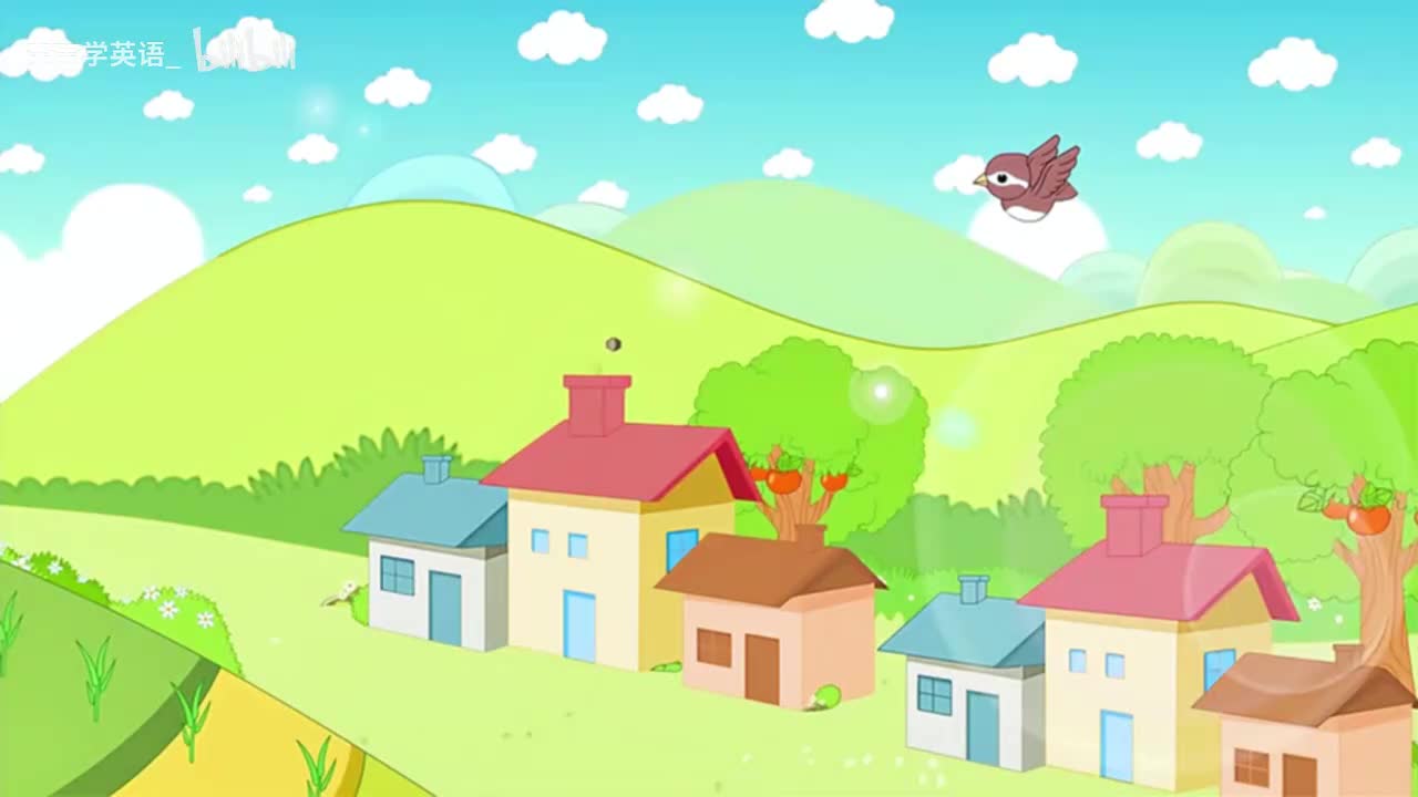 06.家禽家畜类单词