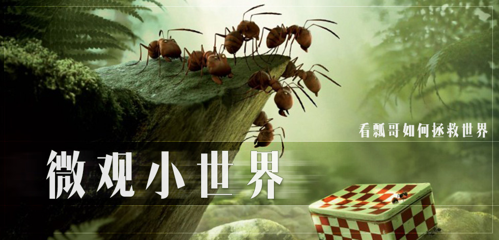 微观小世界 minuscule是法国著名的动画短片,由法国艺术家