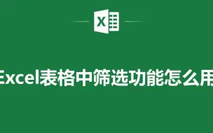 Download Video: EXCEL表格中筛选功能怎么用