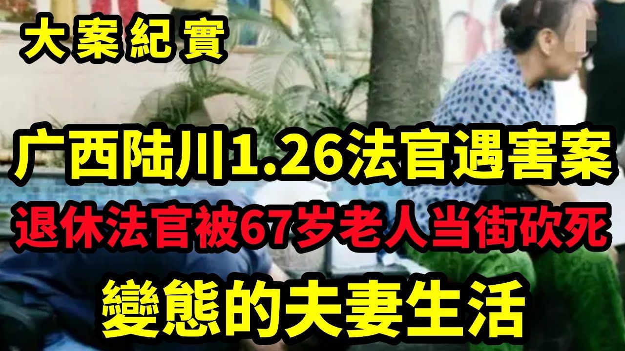 【吕鹏大案纪实】广西陆川“1ⷲ6”法官遇害案,17年退休法官被67岁老人当街砍死,老人被抓时大笑:我等了22年!哔哩哔哩bilibili