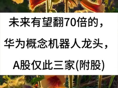 【未来有望翻70倍的,华为概念机器人龙头,A股仅此三家(附股)】哔哩哔哩bilibili