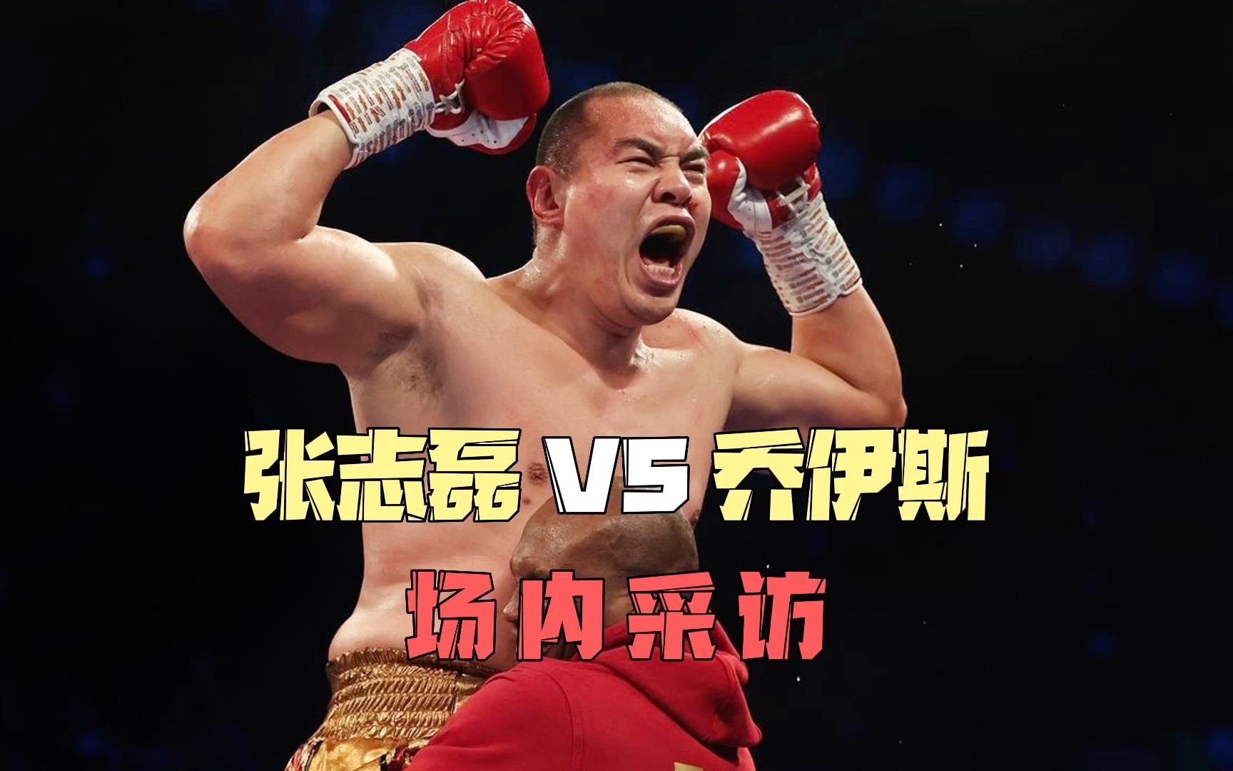 张志磊场内采访,张志磊 VS 乔伊斯.哔哩哔哩bilibili