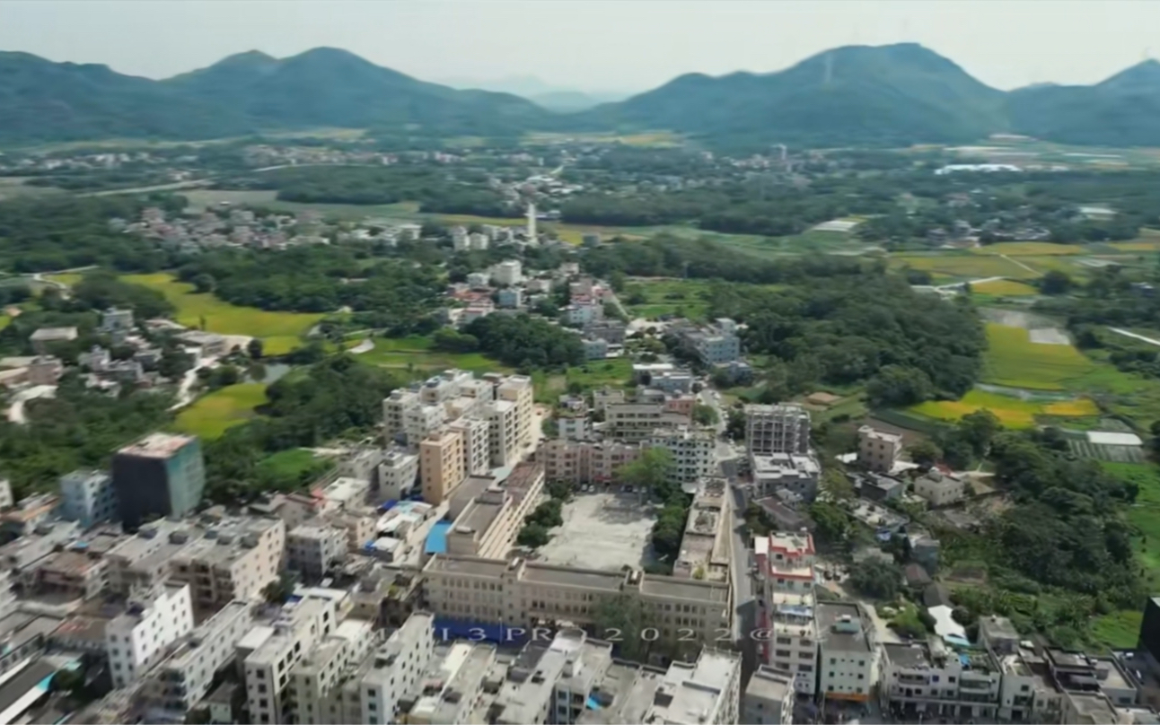 广东茂名电白区马踏镇