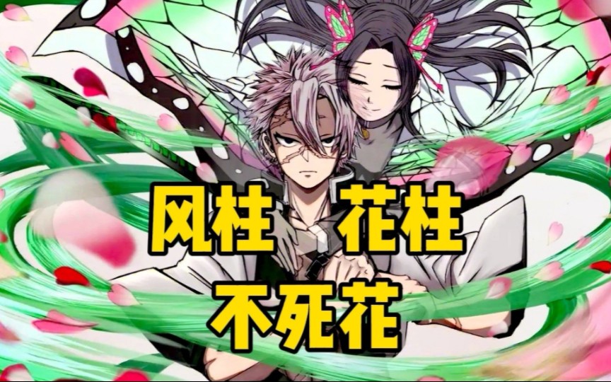 【鬼灭之刃】鬼杀队风柱花柱未公开剧情动画,二人第一次相遇,不死花