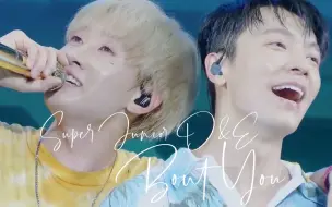 Download Video: SUPER JUNIOR D&E BOUT YOU 赫宰之歌 赫海神仙小分队