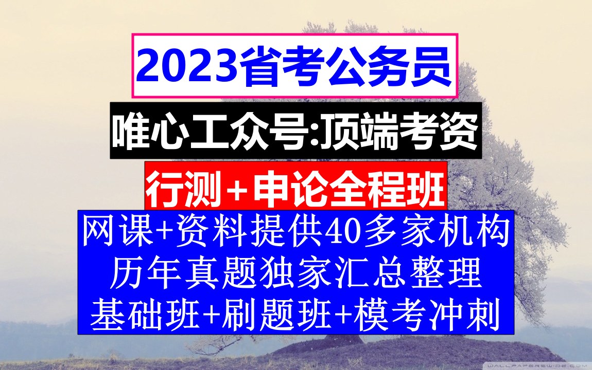 湖北省公务员考试,公务员报名序号是什么意思,公务员的工资级别和档次哔哩哔哩bilibili