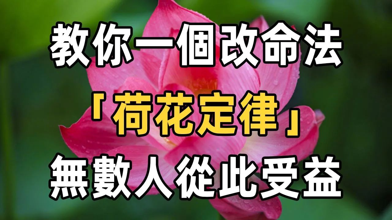 改变命运的两大定律:「荷花定律」「竹子定律」,效果惊人,无数人因此