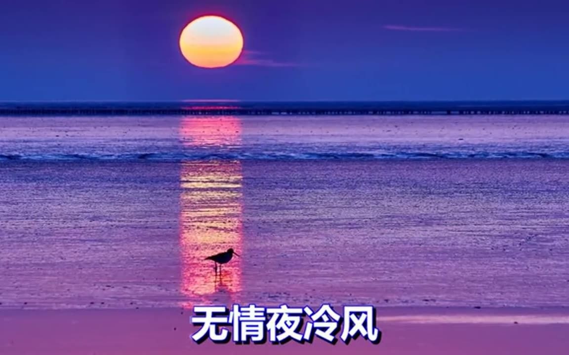 许冠杰无情夜冷风哔哩哔哩bilibili