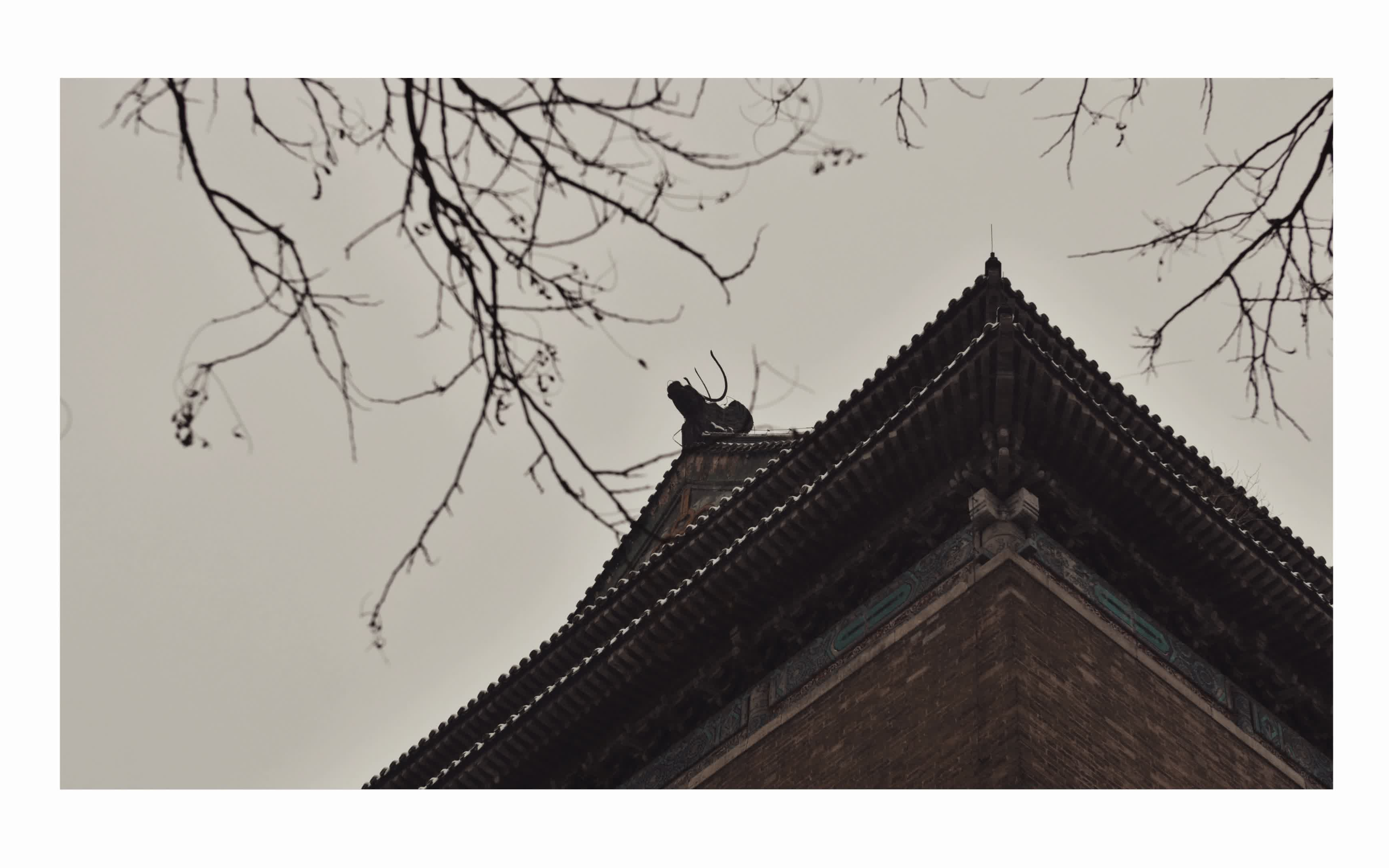 果果の电子摄影集 vol.1 《雪天的铃铛胡同》