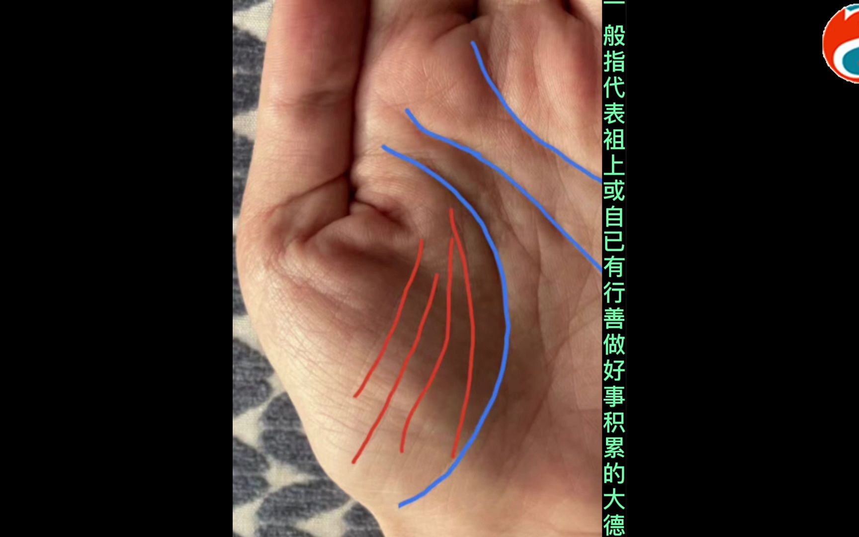 大拇指根部有两条以上平行于地纹的竖纹阴德纹有什么寓意?