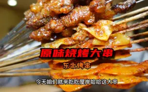 下载视频: 东北原味老式烧烤，吃一口满嘴流油，吃两口唇齿留香！实在是太好吃了