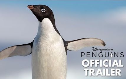 【转载】【预告】迪士尼自然出品新片《企鹅》发布正式预告!
