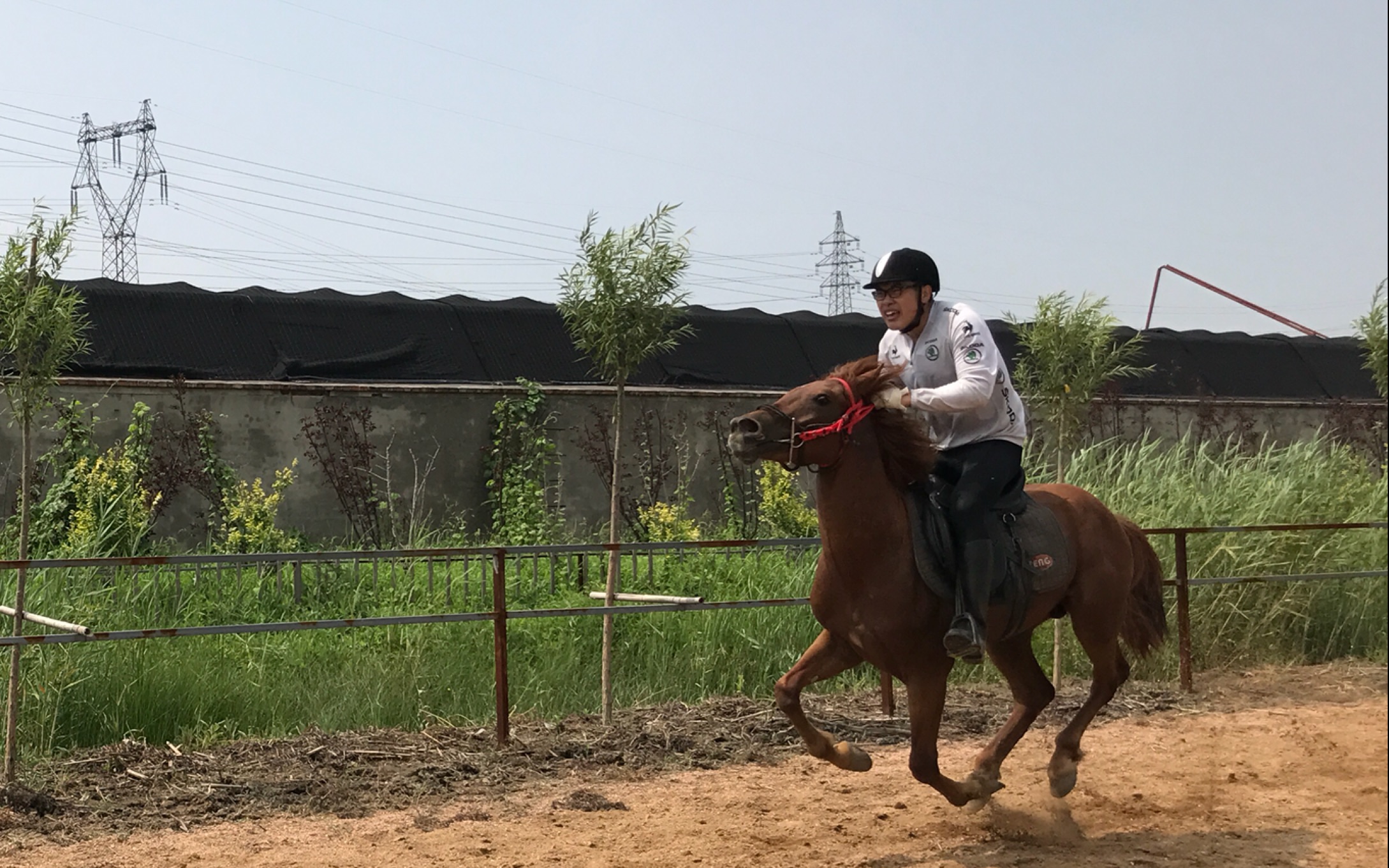 【马术】无鞍骑马美滋滋_哔哩哔哩 (゜-゜)つロ 干杯~-bilibili