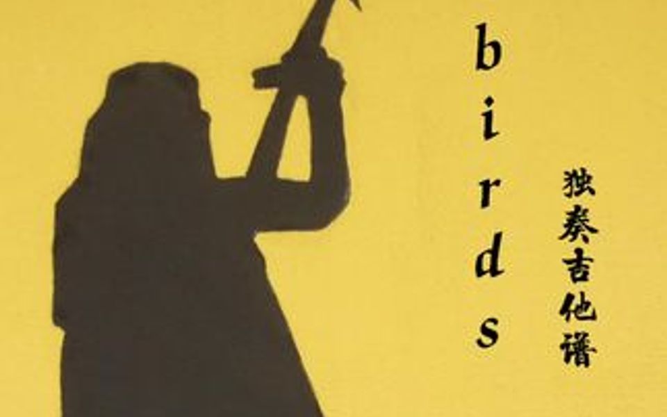 《Birds》吉他谱独奏 指弹 网友定制谱 简单 初级弹唱 吉他教学哔哩哔哩bilibili