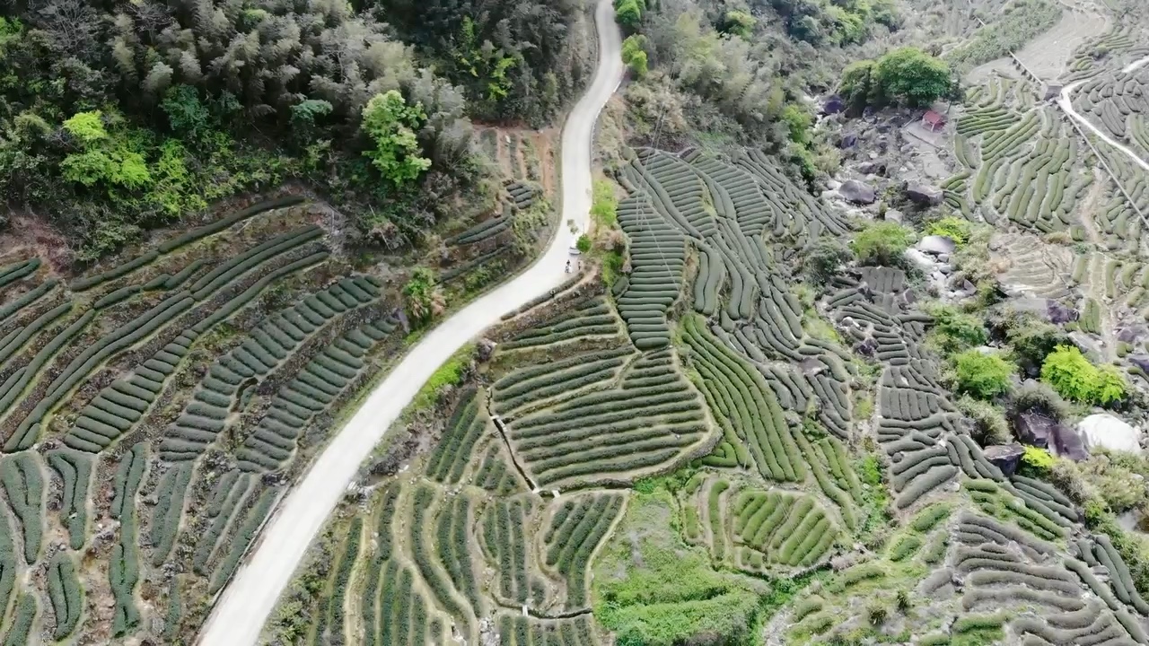 大疆无人机 mavic air航拍平和 大芹山下茶田