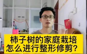 Tải video: 柿子树种植怎么进行整形修剪？您了解吗？