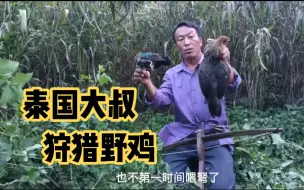 Télécharger la video: 泰国大叔用自制的弓弩，在自家地里狩猎野鸡，今晚的肉是有着落了