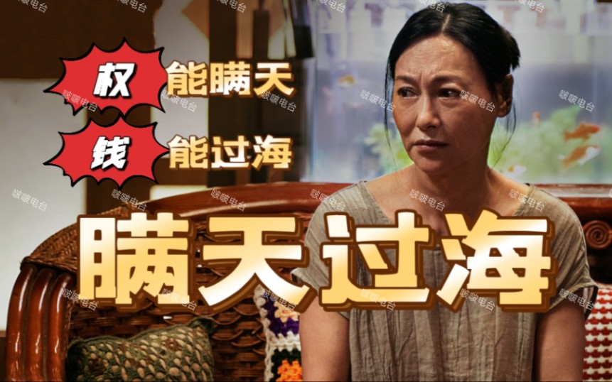 【啵啵电台】富婆的欲望vs帅哥的执着,偷情美女富二代潇洒人生,背负两条人命,虽机关算尽,却终难逃牢狱之灾,电影《瞒天过海》带你领略权利的游戏...