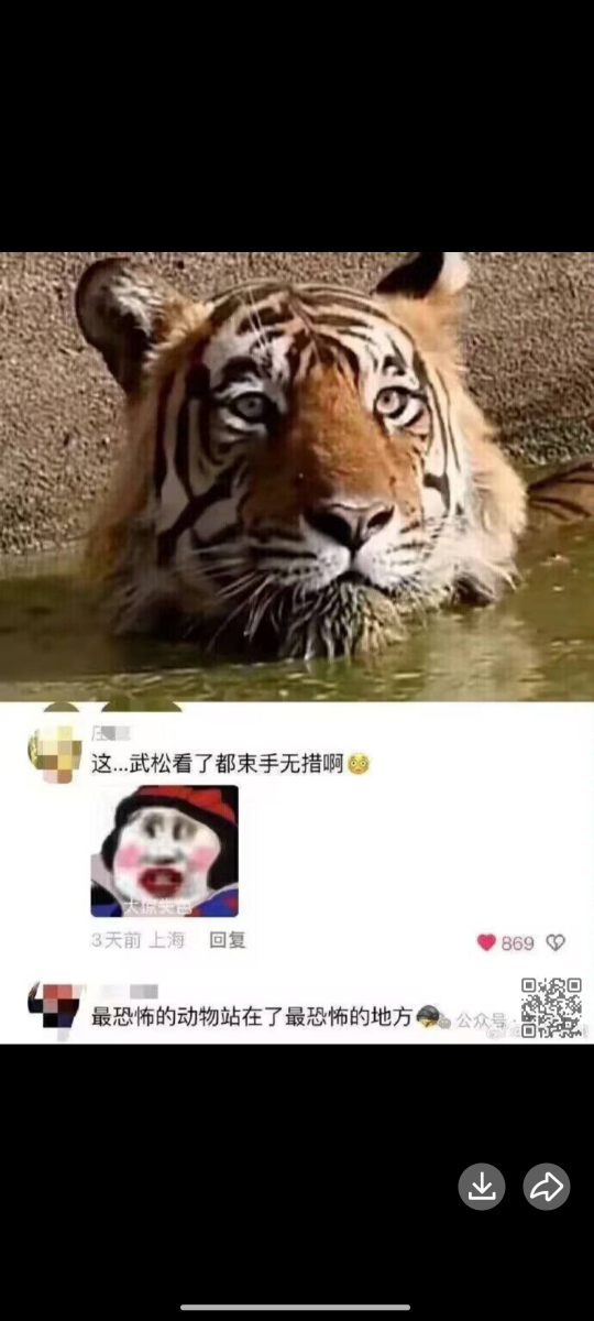 当老虎泡进了粪池
