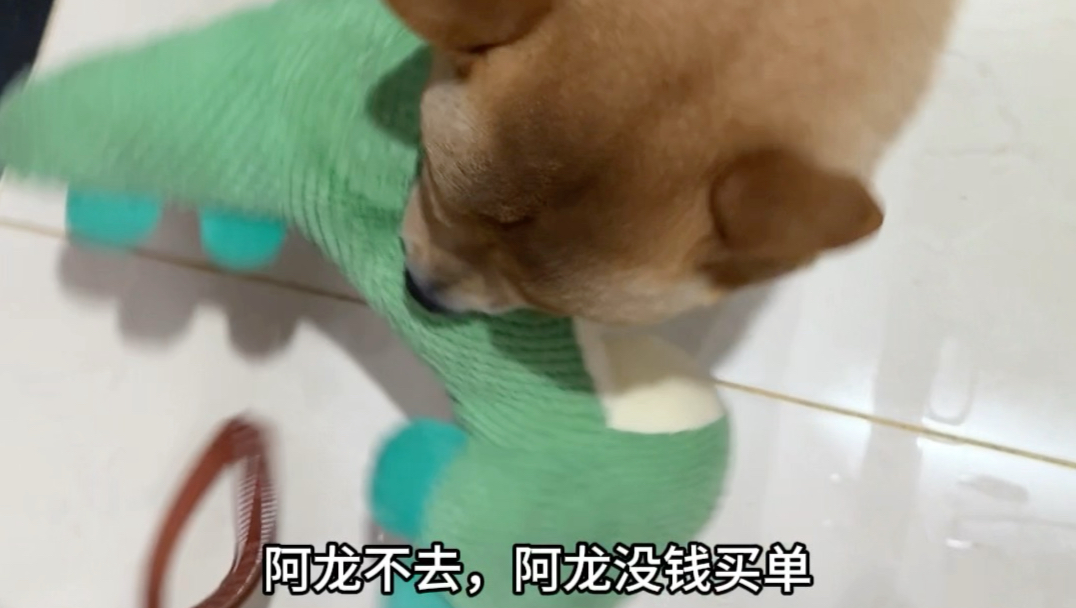 人设快崩塌了…