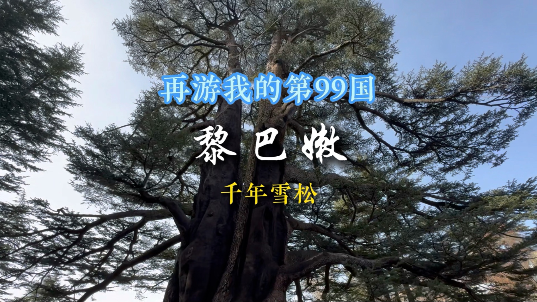 千年雪松从青铜时代活到了智能手机时代 再游我的第99国 黎巴嫩