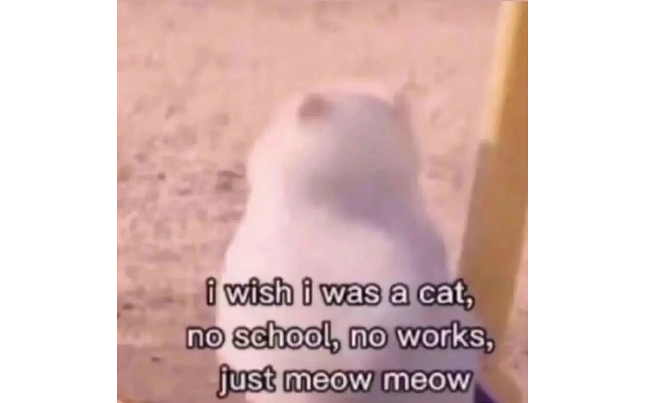 [图]if I were a cat