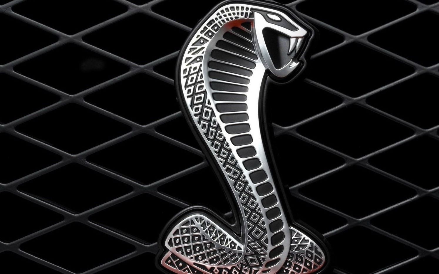 班堡海岸环道 shelby monaco kc 47.558