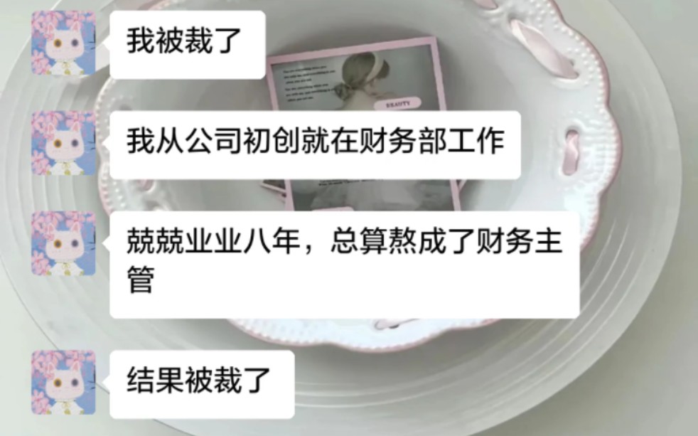 我被裁了,我从公司初创就在财务部工作,兢兢业业八年,总算熬成了财务主管,结果被裁了哔哩哔哩bilibili