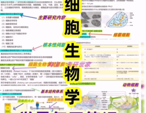 细胞生物学考研学霸高分笔记重点整理研究生本科期末考试复习资料#生物学 #高中生物怎么学 #学霸秘籍哔哩哔哩bilibili