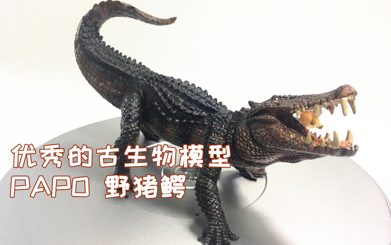 初丁分享127优秀的古生物模型papo野猪鳄