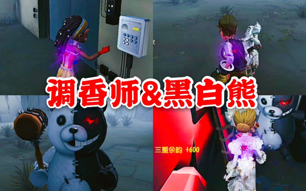 第五人格:調香師遇到黑白熊,3瓶香水全回,成功達成三重餘韻!