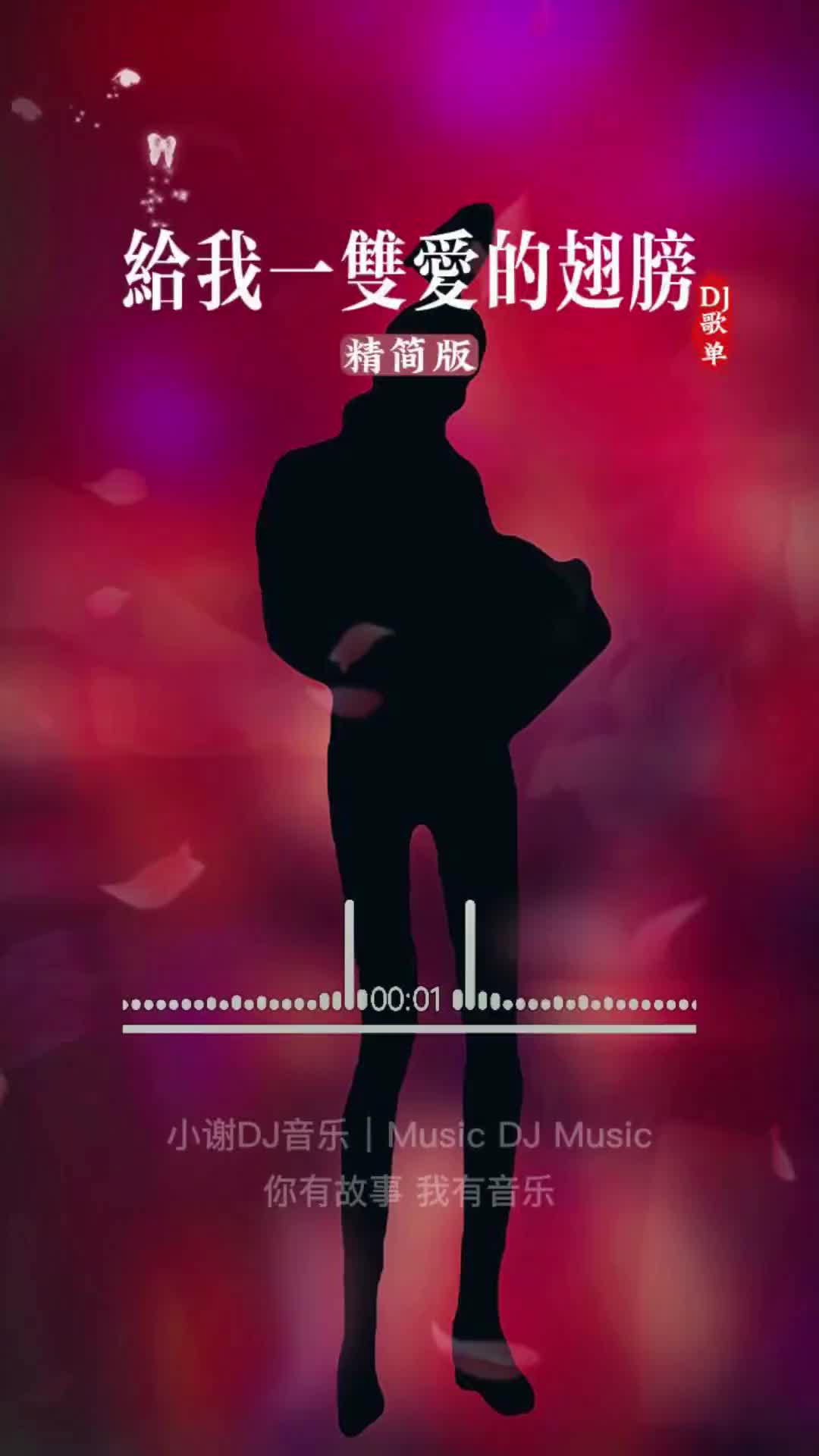 [图]国语DJ车载音乐给我一双爱的翅膀热门音乐中文dj经典dj歌曲