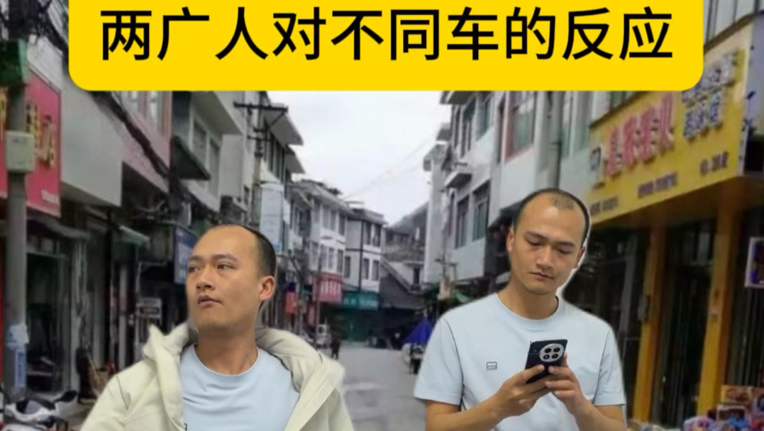 两广人对不同车的反应。
